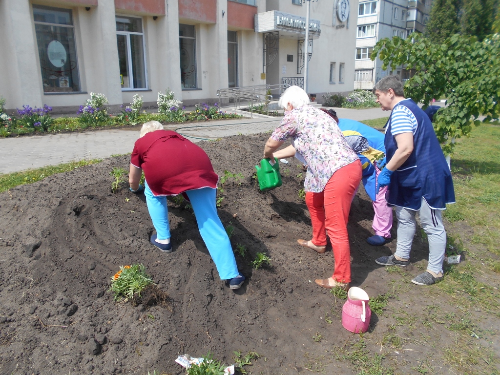 Клумба